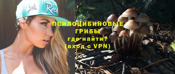 PSILOCYBIN Алзамай