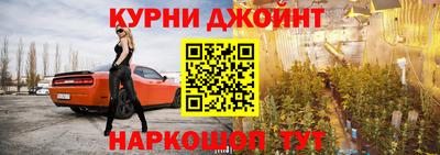 прущие грибы Камышлов