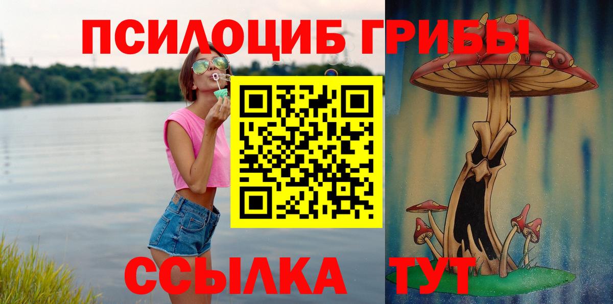 Псилоцибиновые грибы Psilocybe Иркутск
